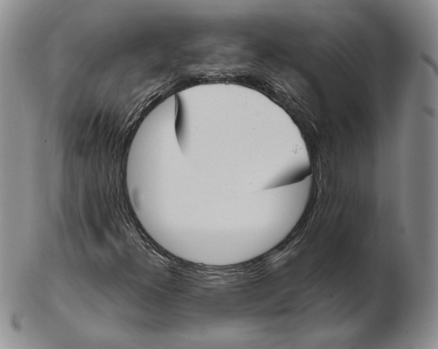 X0000102371300200808221729