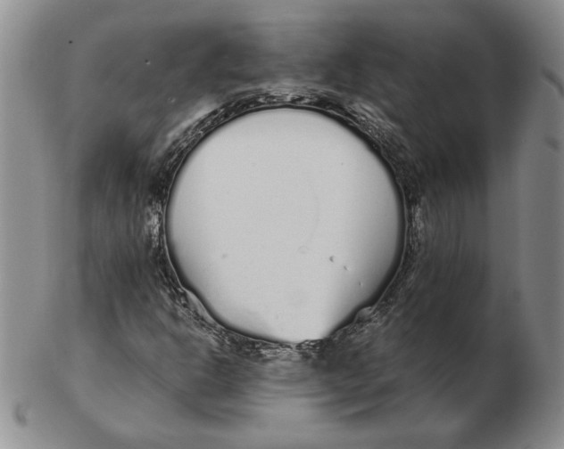 X0000102371302200808221730