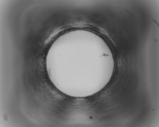 X0000102371304200808221730