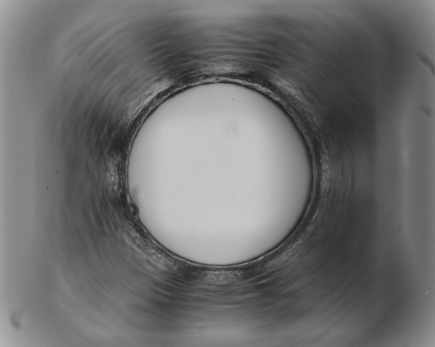 X0000102371305200808221730