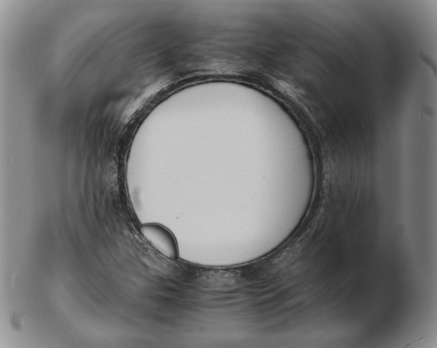 X0000102371307200808221730