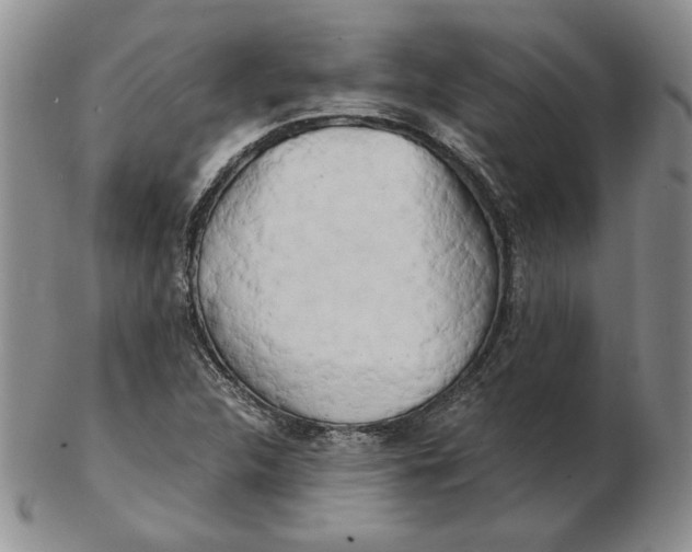 X0000102371312200808221730