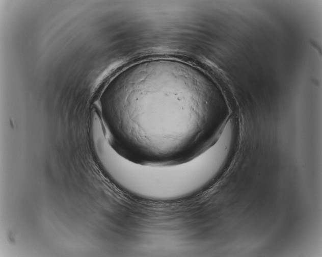 X0000102371314200808221730