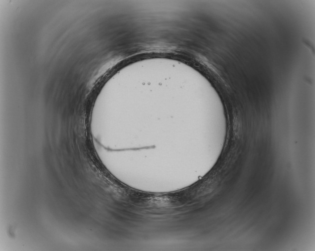 X0000102371315200808221730