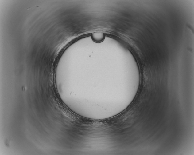 X0000102371316200808221730