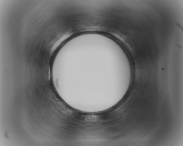 X0000102371317200808221730