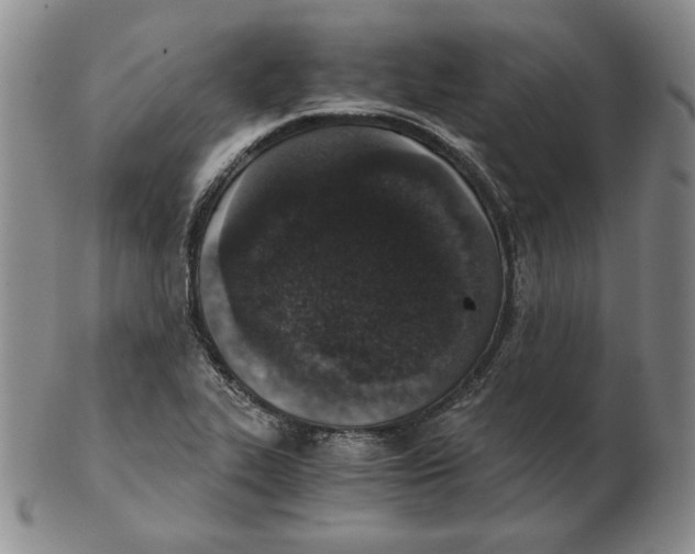 X0000102371319200808221730