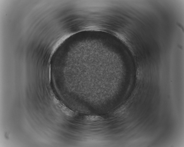 X0000102371323200808221730