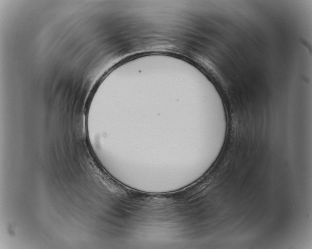 X0000102371324200808221730