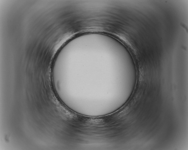 X0000102371325200808221730