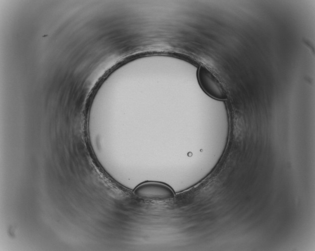 X0000102371326200808221730