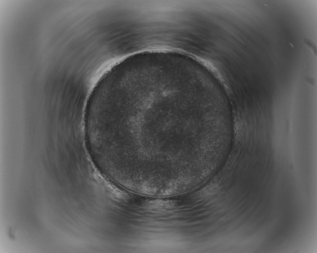 X0000102371327200808221730