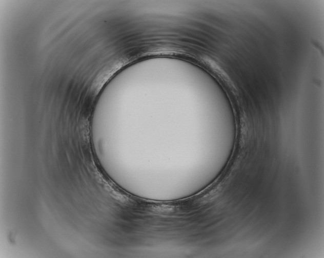 X0000102371329200808221730