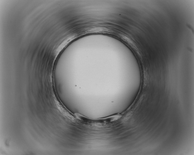 X0000102371330200808221730