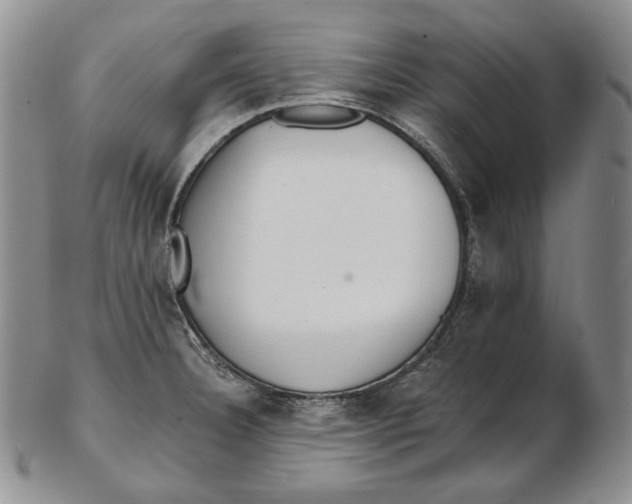 X0000102371332200808221730