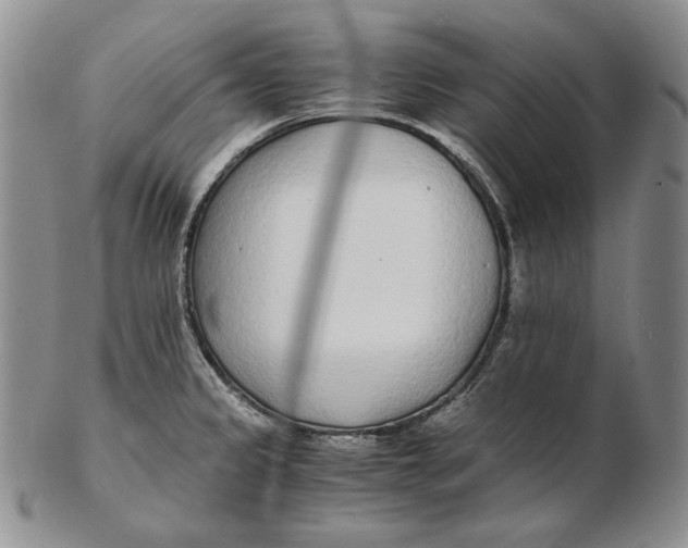 X0000102371333200808221730