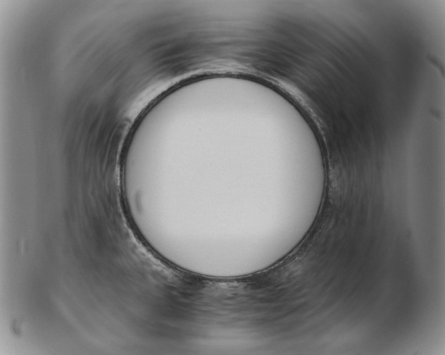 X0000102371335200808221730