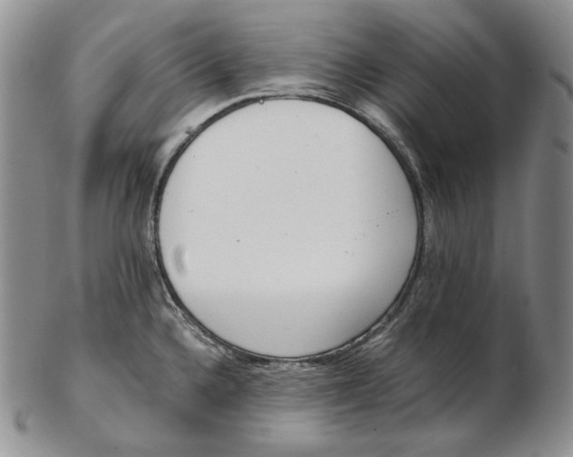 X0000102371336200808221730