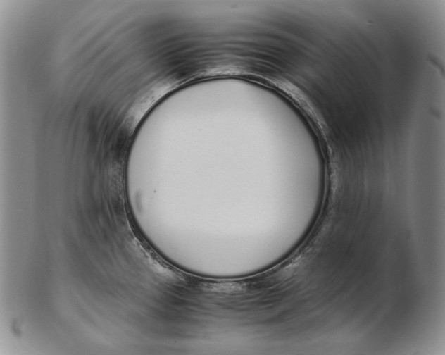 X0000102371337200808221730