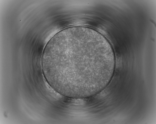 X0000102371338200808221730