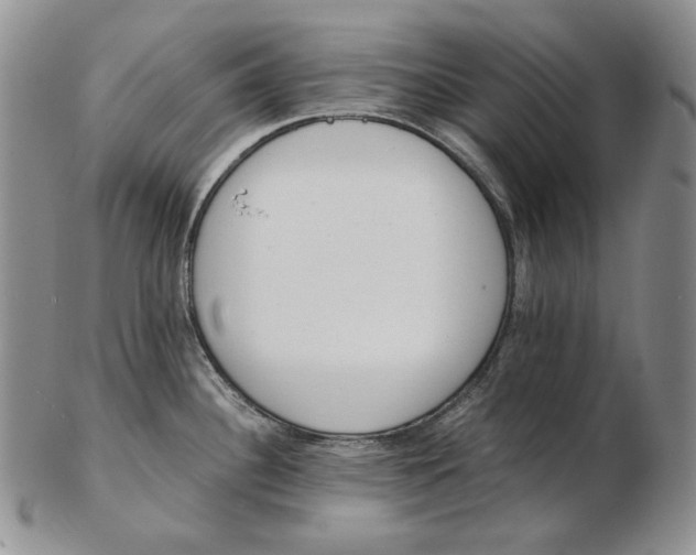 X0000102371340200808221730