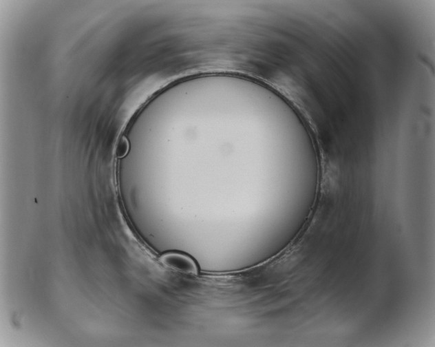 X0000102371342200808221730