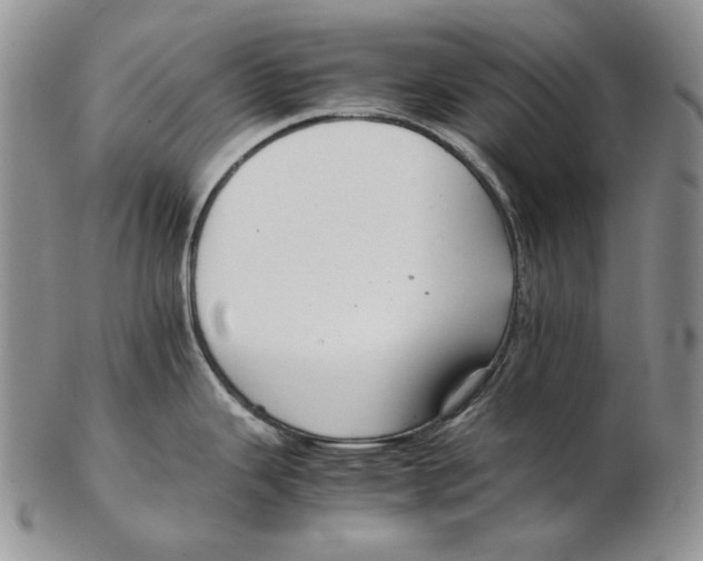 X0000102371343200808221730