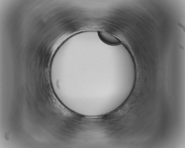 X0000102371344200808221730