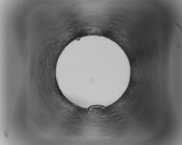 X0000102371345200808221729