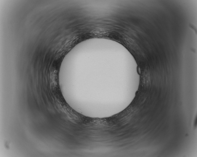 X0000102371346200808221729