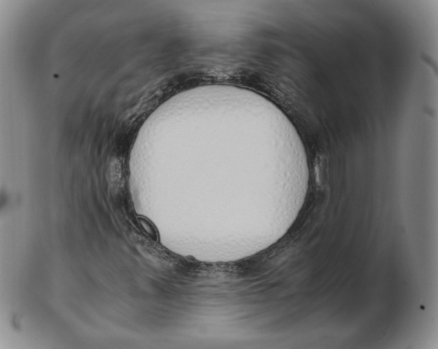 X0000102371347200808221729