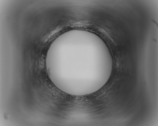 X0000102371350200808221729