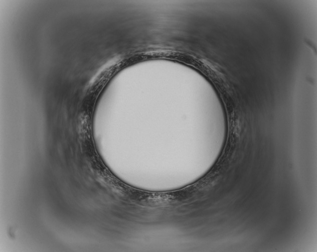 X0000102371351200808221729