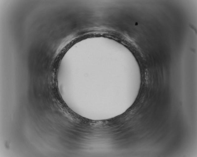 X0000102371352200808221729