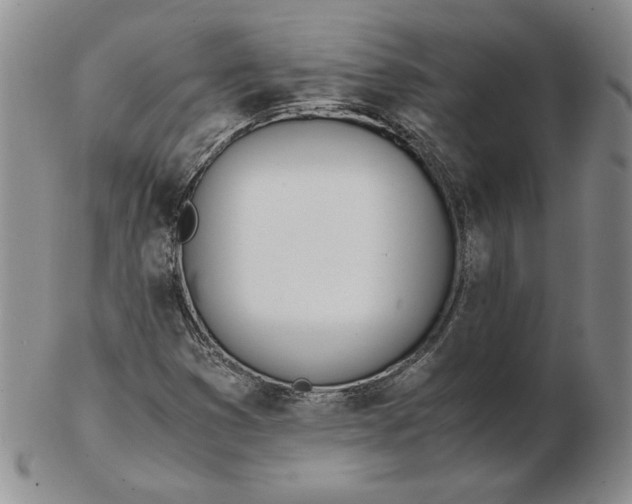 X0000102371353200808221729