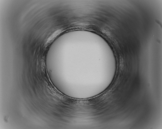 X0000102371354200808221729