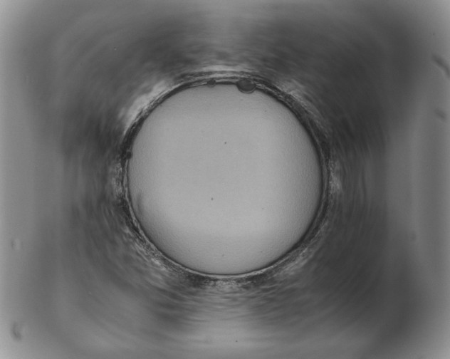 X0000102371357200808221729