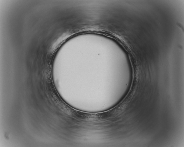 X0000102371359200808221729