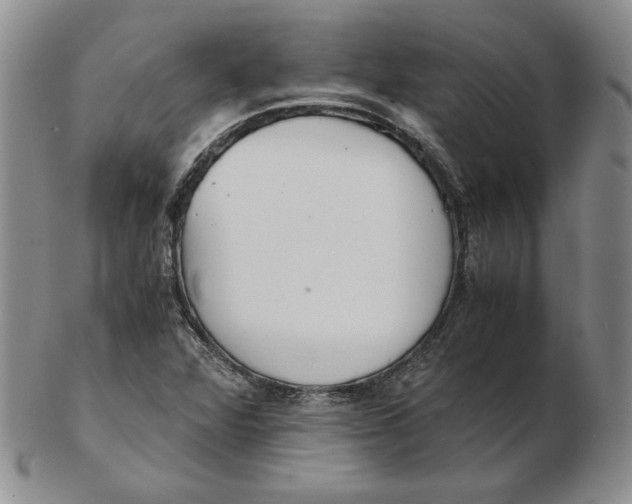 X0000102371360200808221729