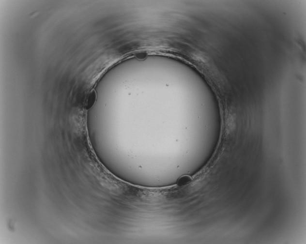 X0000102371361200808221729