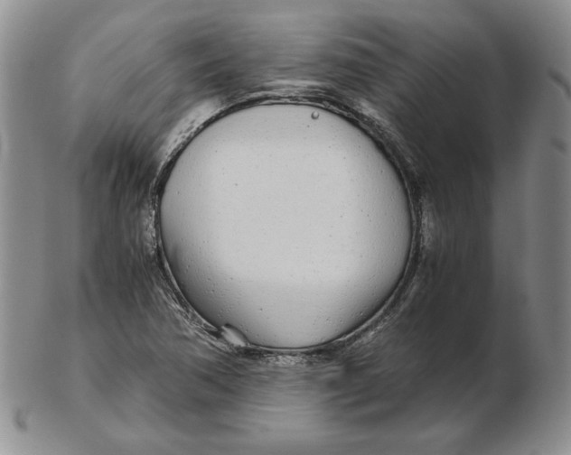 X0000102371362200808221729