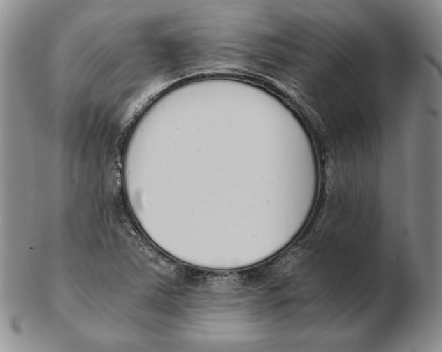 X0000102371363200808221729