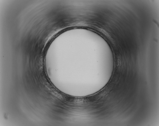 X0000102371364200808221729