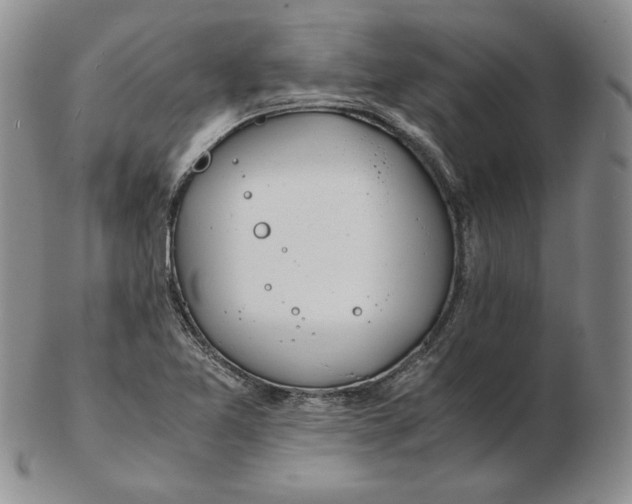 X0000102371365200808221729