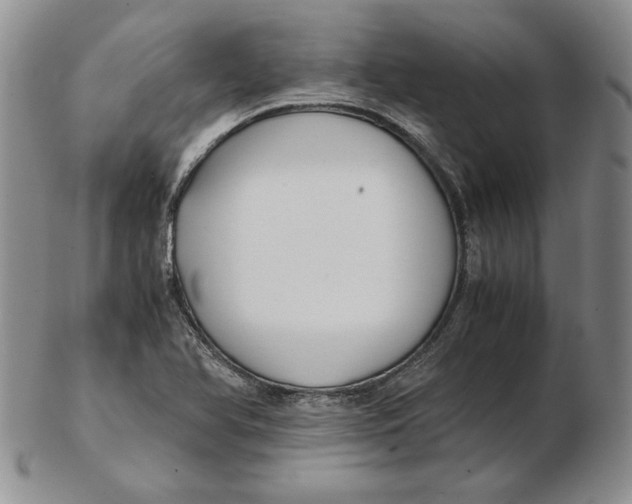 X0000102371366200808221729