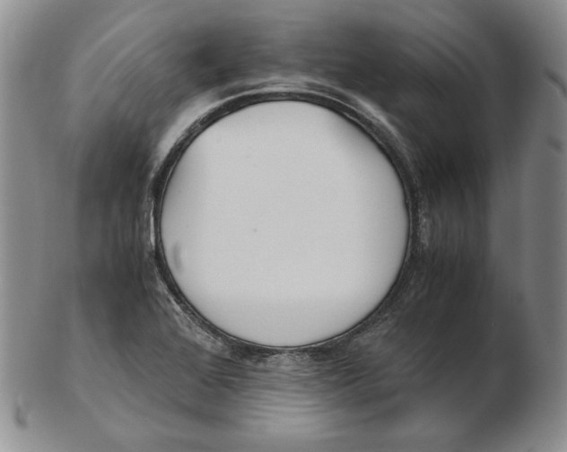 X0000102371368200808221729