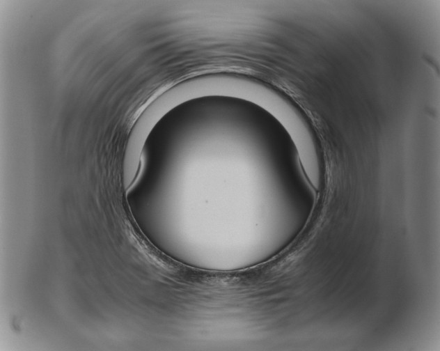 X0000102371369200808221729