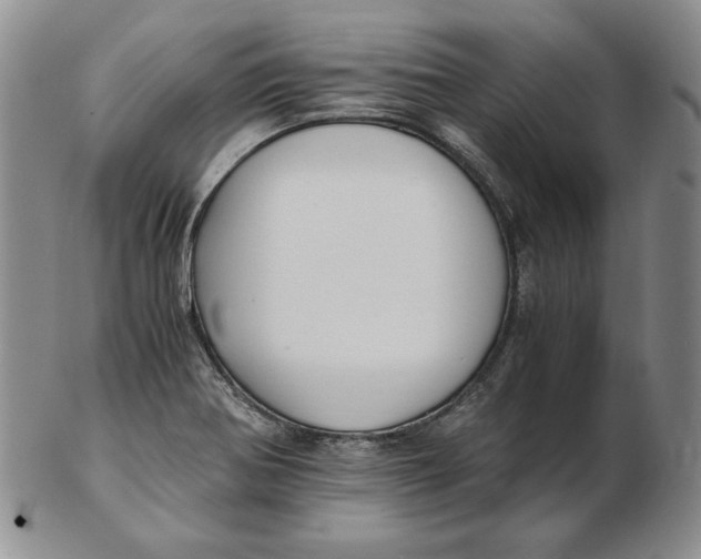 X0000102371370200808221729