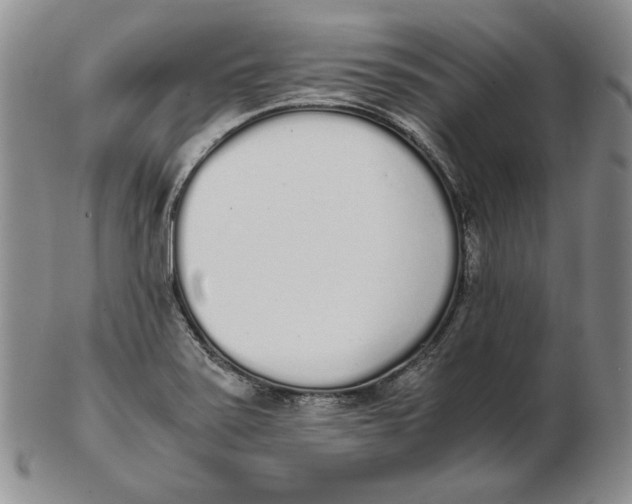 X0000102371371200808221729