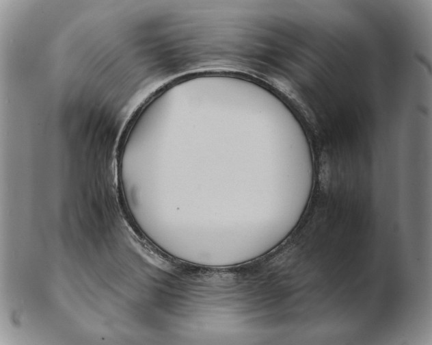 X0000102371372200808221729